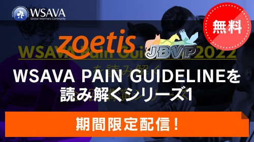 WSAVA PAIN1「痛みを理解する、痛みの生理学と病態生理学、倫理と動物福祉」