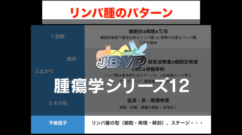 腫瘍学12 見つけたときにちょっと困る腫瘤の診断と治療：2024 年Version －犬の多中心性リンパ腫－