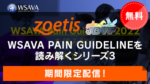 WSAVA PAIN3「オピオイド／NSAIDs／α2-アドレナリン受容体作動薬／局所麻酔薬／補助薬」